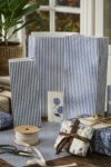 Buntfalttüte blaue Streifen aus Papier